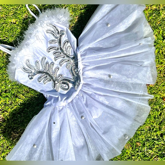 Girls Handmade Ballerina Costume - Picture 1 of 11